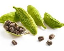 Cardamom