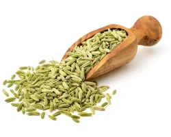 Fennel Seeds