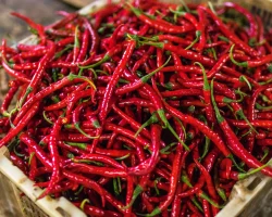 Red Chillies