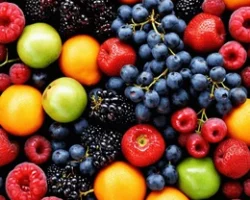 fruits