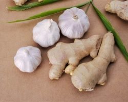 garlic