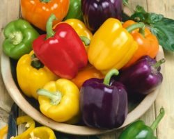 rainbow-blend-pepper-organic-60-90-days-vegetables-pinetree-garden-seeds-992